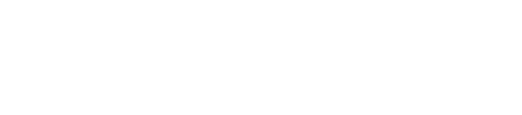 Logo AllianceOne Receivable Solutions white logo