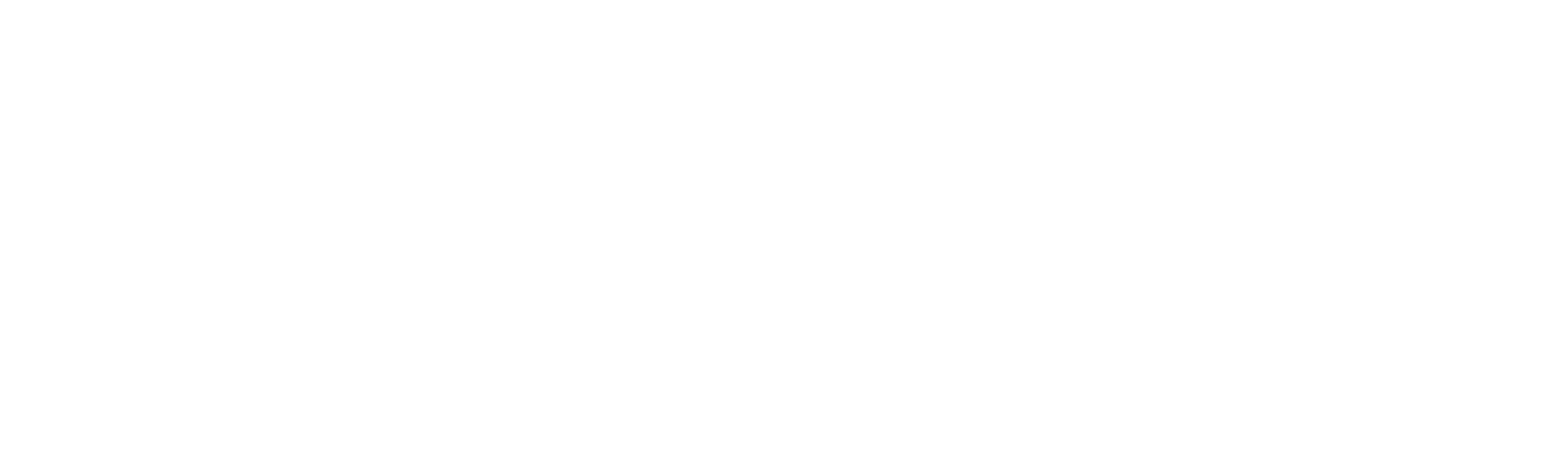 AllianceOne white logo